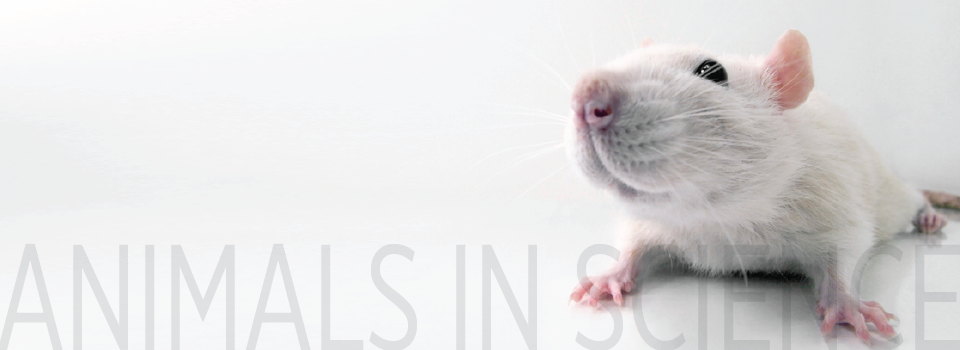 reasons for and against animal testing