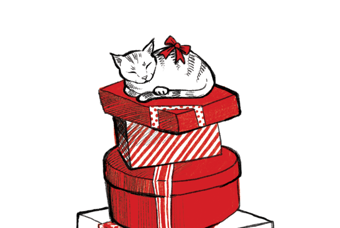 Cat on pile of presents