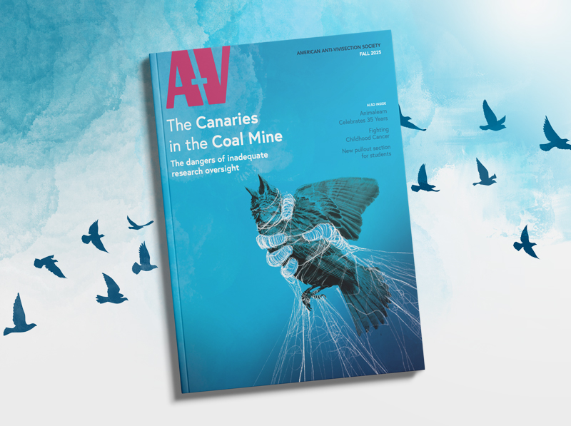 A-V magazine cover with title The Canaries in the Coal Mine