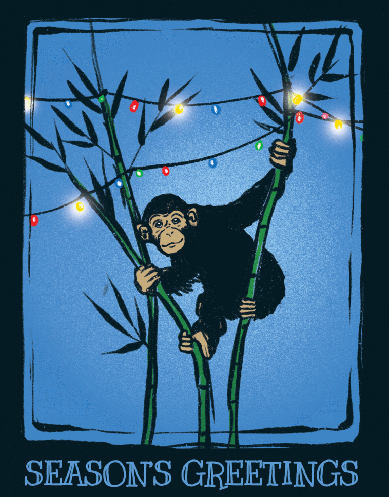 Holiday Chimp with blinking lights