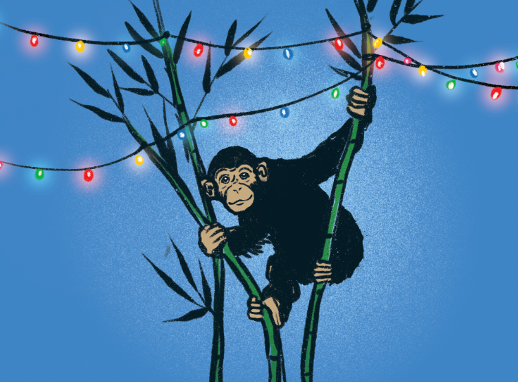 Holiday Chimp