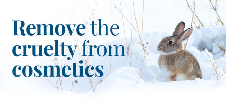 Bunny with text "Remove the cruelty from cosmetics"