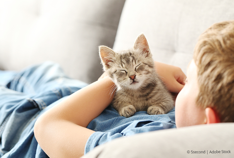 child with kitten on couch